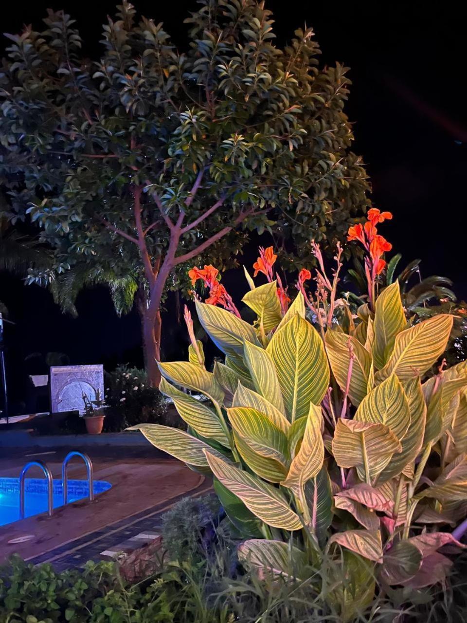 Madagh Gite Ecoparadis מראה חיצוני תמונה